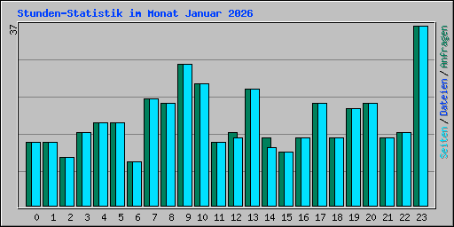 Stunden-Statistik im Monat Januar 2026