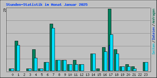 Stunden-Statistik im Monat Januar 2025
