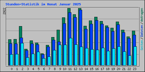 Stunden-Statistik im Monat Januar 2025