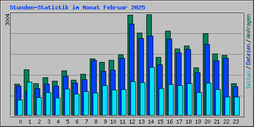 Stunden-Statistik im Monat Februar 2025