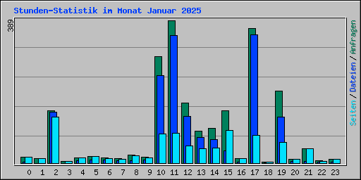 Stunden-Statistik im Monat Januar 2025