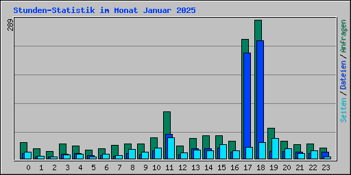 Stunden-Statistik im Monat Januar 2025