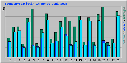 Stunden-Statistik im Monat Juni 2026