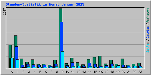 Stunden-Statistik im Monat Januar 2025