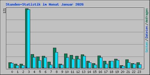 Stunden-Statistik im Monat Januar 2026
