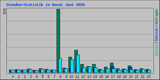 Stunden-Statistik im Monat Juni 2026